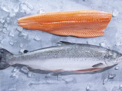 Kvaroy-Arctic-Salmon-Whole-and-Fillet-1536x915