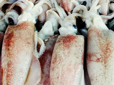 d37828_d210b06573dc45ce987070505ac2e4a7~mv2